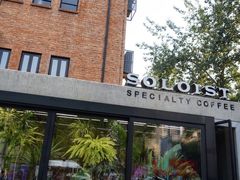-Soloist 独奏公司(798店)