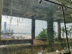 -厦门邮轮中心厦鼓码头(轮渡站)