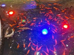 -碧中海汤泉汗蒸酒店