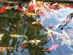 -幸福蓝海国际影城(崇安寺T12店)