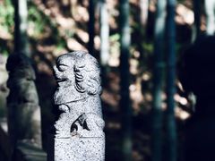 -敬亭山风景名胜区