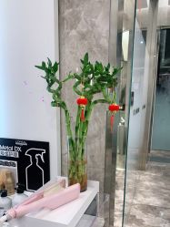 点击看大图 -MMby HairCode 芭曲发型概念店