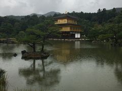 -豆政(金閣寺境内売店)