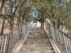 -白水寺森林公园