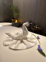 -VELEE·SPA高定疗愈会所