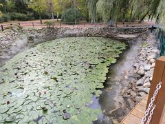 -黛秀湖公园
