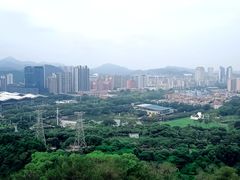 -紫马岭公园