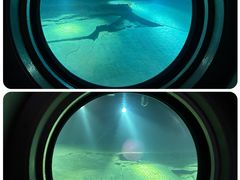 -白鹤梁水下博物馆