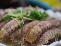 濑尿虾-蚝专家(北滘店)