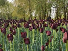 -长春公园(普阳街道)