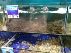 水产区-南海渔家•海鲜•正宗海南菜(海棠湾店)