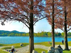 -南京银杏湖乐园