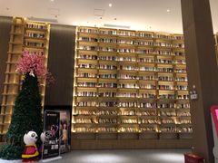 -深影国际影城(学院南路店CGS中国巨幕店)