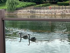 -南京汤山紫清湖生态旅游温泉度假区
