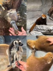 -Zoolung Zoolung动物主题公园(海信广场店)