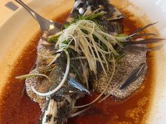 -海口喜来登酒店