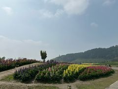 -径山花海