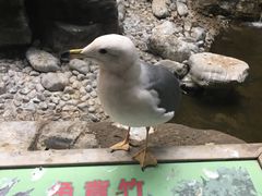 景点-北京动物园