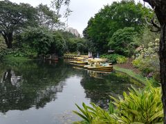 -晓港公园