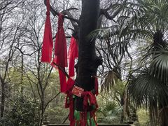 -敬亭山风景名胜区