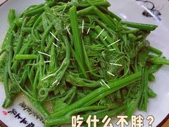 丝瓜尖-力力豆花庄(广渠门店)