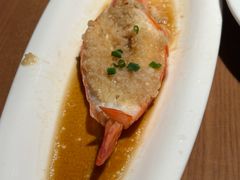-波螺油子·海肠捞饭·青岛菜(银座店)