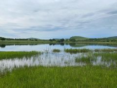 -塞罕坝国家级自然保护区