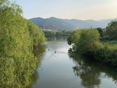 -长兴太湖图影湿地文化园
