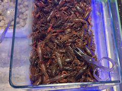 -阳光牧场自助餐厅(宝德购物中心店)