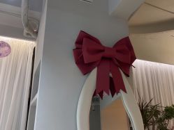 -韩芙莱芳疗spa健康管理