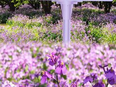 -江苏三台山国家森林公园