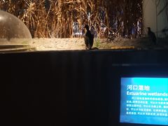 -上海长江河口科技馆