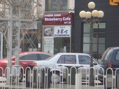 -Strawberry Butterfly草莓蝴蝶日式水果挞