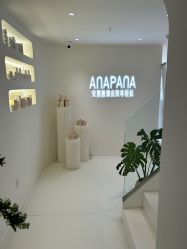 -安那般那皮肤年轻化ANAPANA
