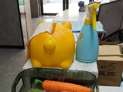 -半岛宠物医院24小时(白果林店)