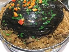 荷香糯米甲鱼-阿英煲(凉城路店)