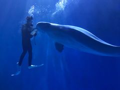 -多彩贵州城极地海洋世界