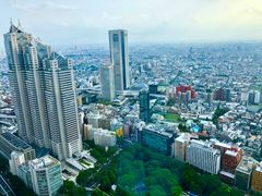 -东京都厅舍