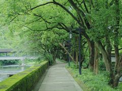 -兰亭风景区