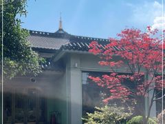 -浙江西子宾馆·牡丹厅