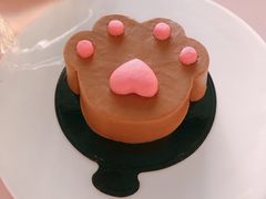 -喵屿·大理花园猫咖