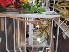 -湊湊火锅·茶憩(皇姑万象汇店)