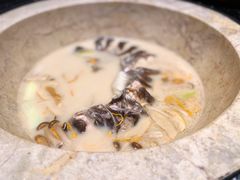 鮰鱼-云海肴云南菜·蒸汽石锅鱼(青岛万象城店)