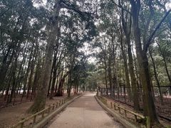 -奈良公园