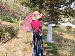 -莲花山花海