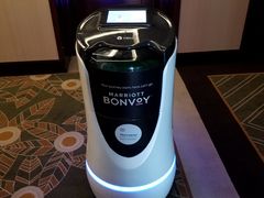 -常州武进九洲喜来登酒店