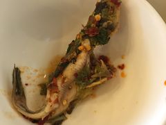 -胖大姐黄辣丁鱼庄(新津店)