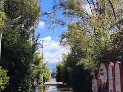 -洱海月湿地公园