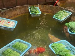 -石岐佬中山菜馆(张溪店)