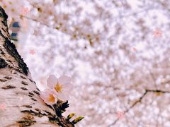 -永乐路-路侧停车场